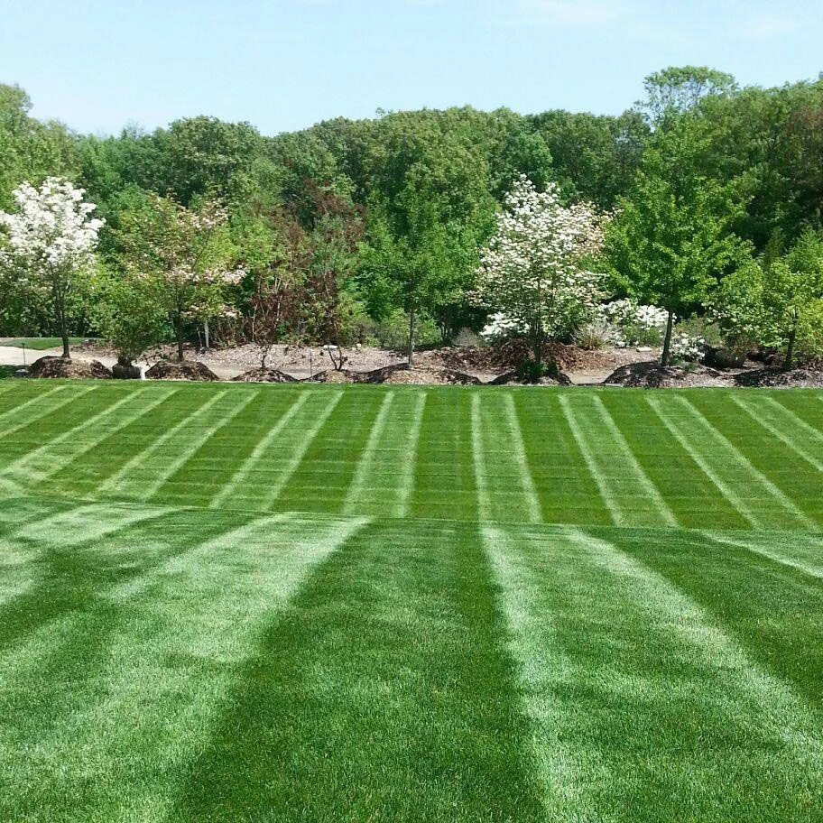 Reliable East Lansing Lawn Care Programs for Residential and Commercial Properties