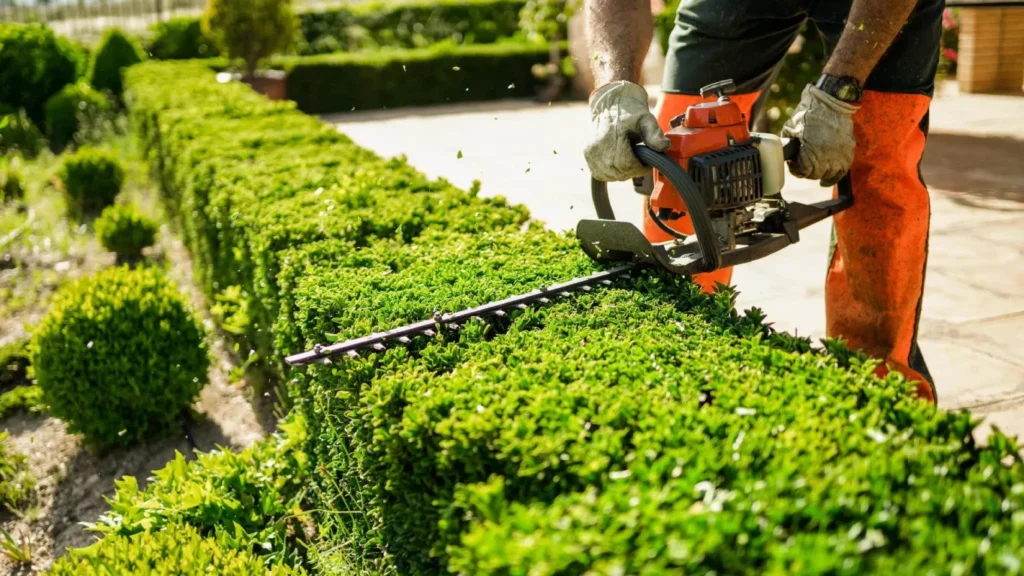 Full-Service Landscaping in Lansing From Design to Year-Round Property Care