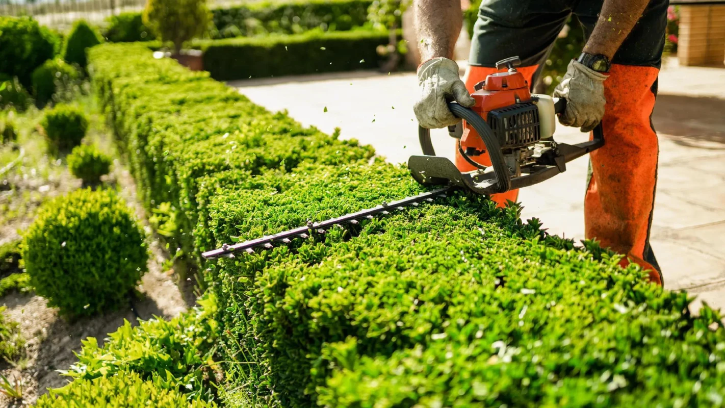Full-Service Landscaping in Lansing From Design to Year-Round Property Care